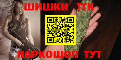 твердый Кингисепп